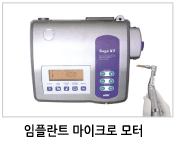 마이크로모터